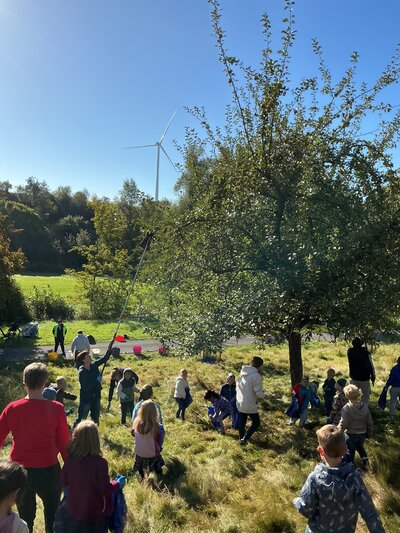 Bild vergr&ouml;&szlig;ern: IMG_0451 (002)